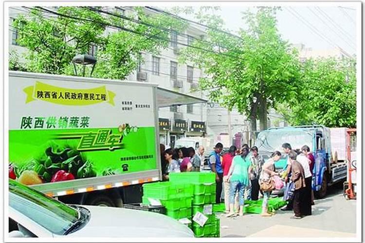 家庭七彩小番茄种植高产优质管理技术 养殖方法有哪些