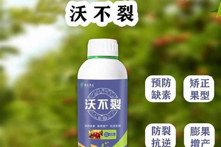 想要甘蔗甜又容易啃,需要施什么肥才好呢？