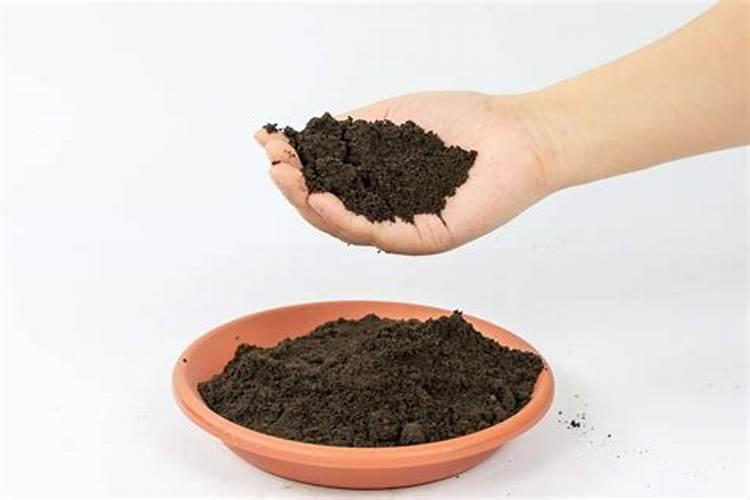 用馒头泡发了当肥料用可以用在大白菜上吗？