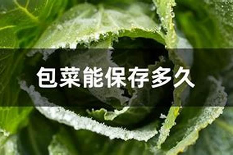 秋月梨膨果期能用碳铵吗