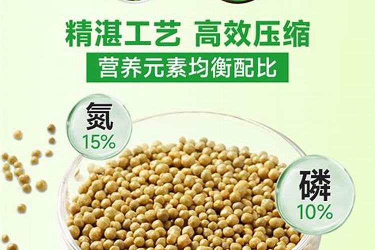 玉米叶面肥喷花可以吗