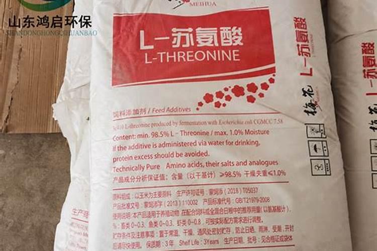 茉莉种子的正确种植方法是什么