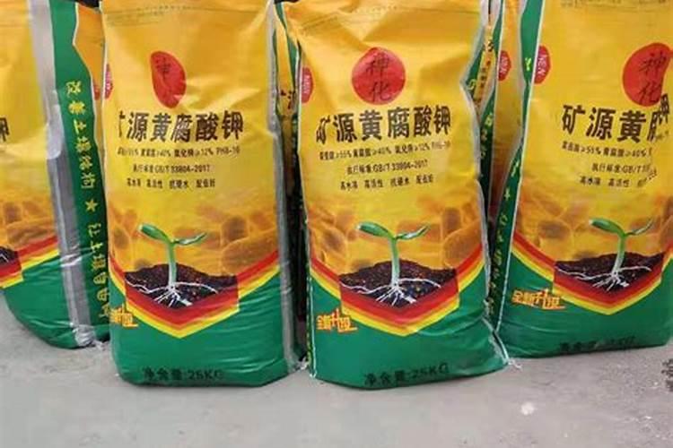 黄豆增产的方法有几种