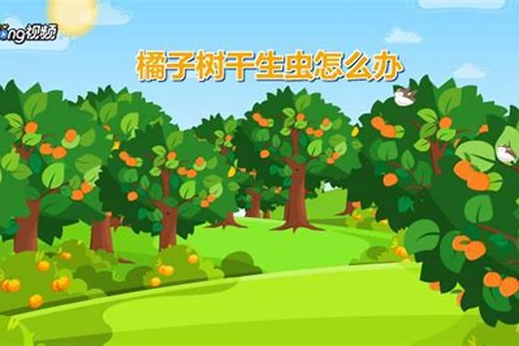用剩下的蔬菜水果沤的肥长毛了还可以用吗？