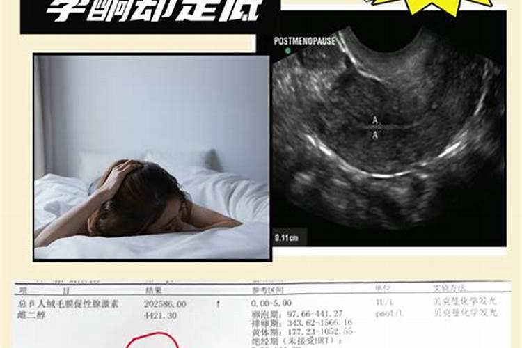 怎么提高越夏甜椒坐果率？