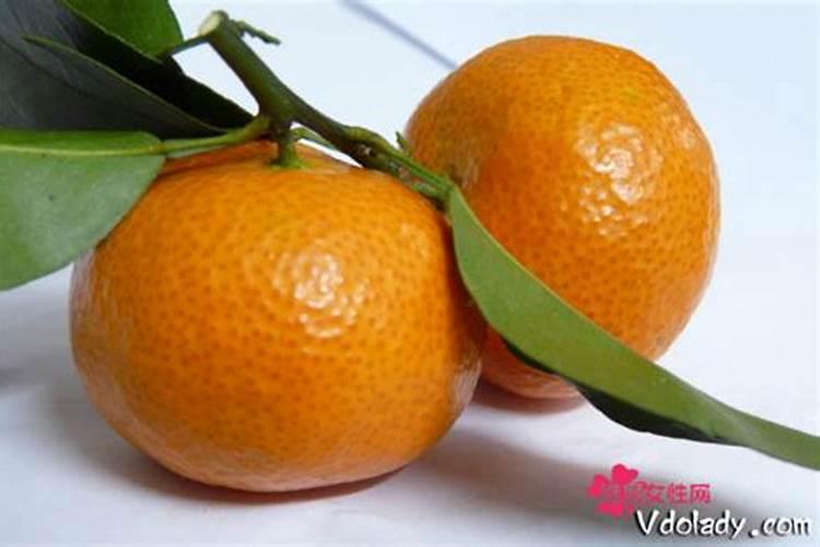 南瓜芽什么品种高产