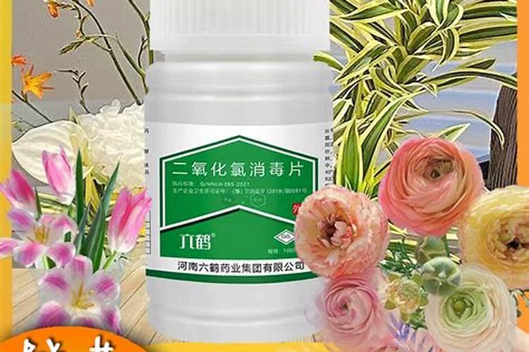 茶花浇什么肥最好