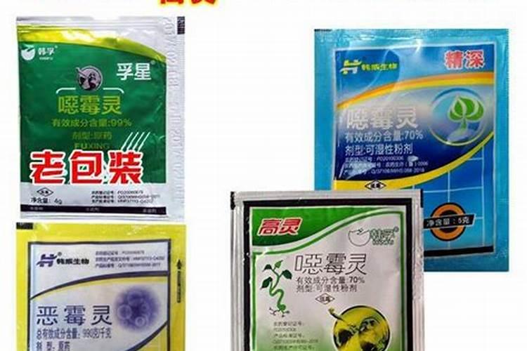 恶霉灵99%原能直接兑水使用吗