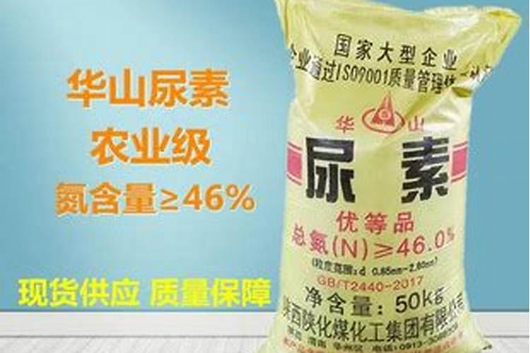 用什么肥好 芦荟施肥方法