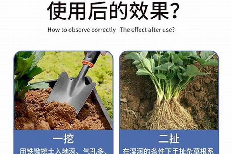 松土肥料有哪些 疏松土壤用什么肥料
