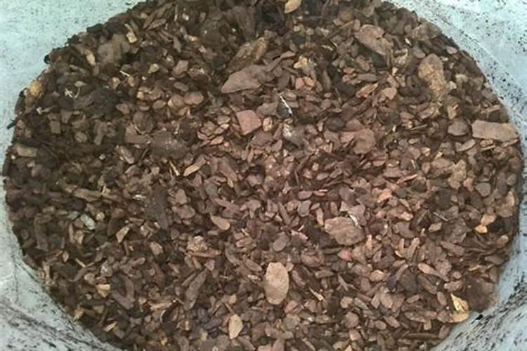 磷肥可以种果树吗？