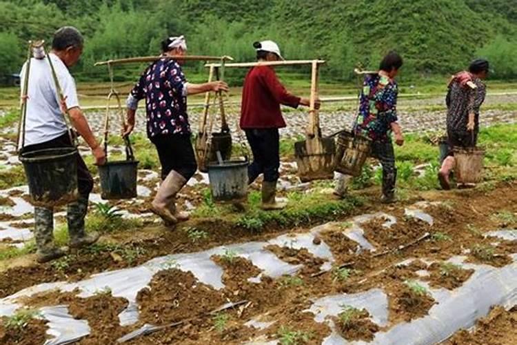 贵州省毕节市辖区的化肥厂有哪些？主要产品是啥？