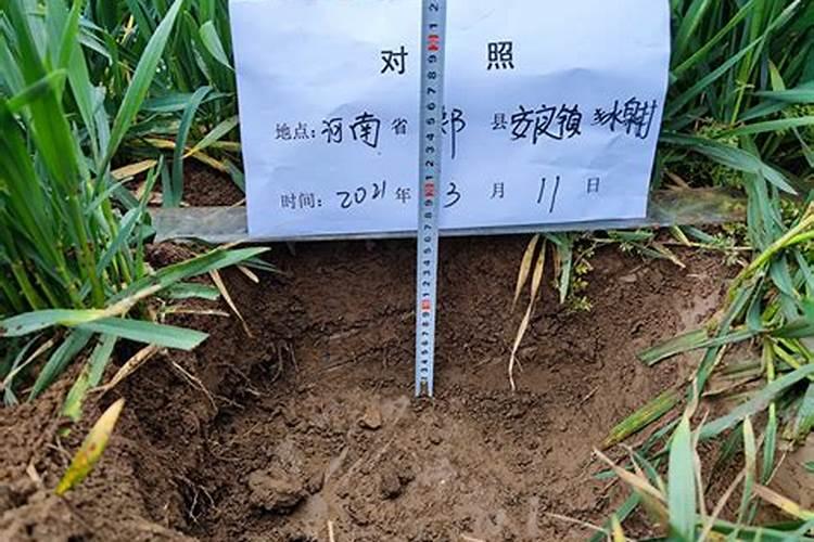 如何解决板结