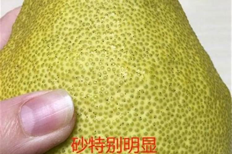 不换土只施肥可以吗;不换盆只换土可以吗