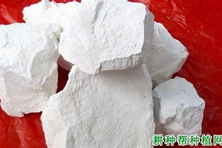 钙肥有哪些品种？