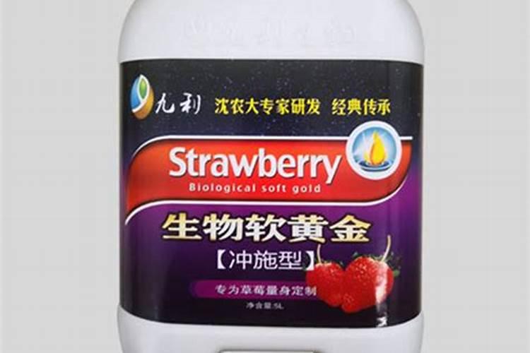大棚草莓种植多少天可以冲施肥料