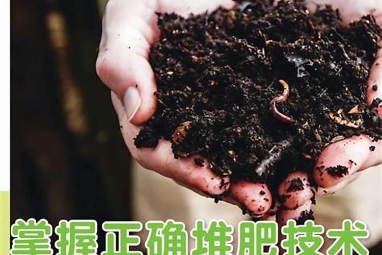 城市种菜肥力不够 不花钱的材料也能做氮磷钾各元素充足的堆肥