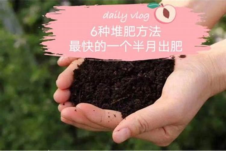 养花用什么肥料最好