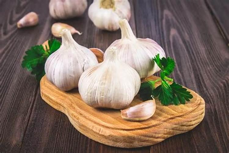 一斤黄豆放多少纳豆发酵剂