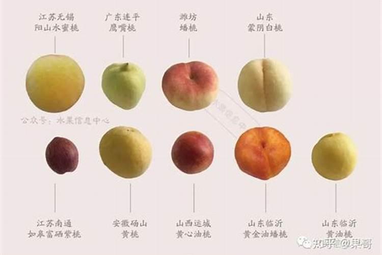 油桃膨大期用什么肥料会发软