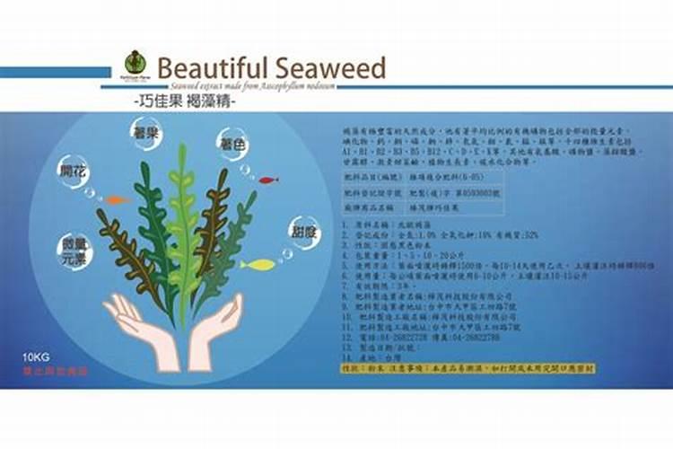 镁对植物的作用