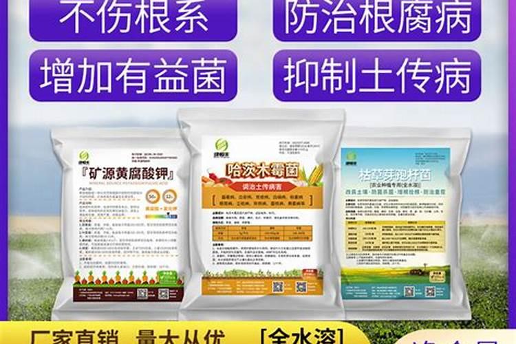 河蚌壳煲水喝有什么作用