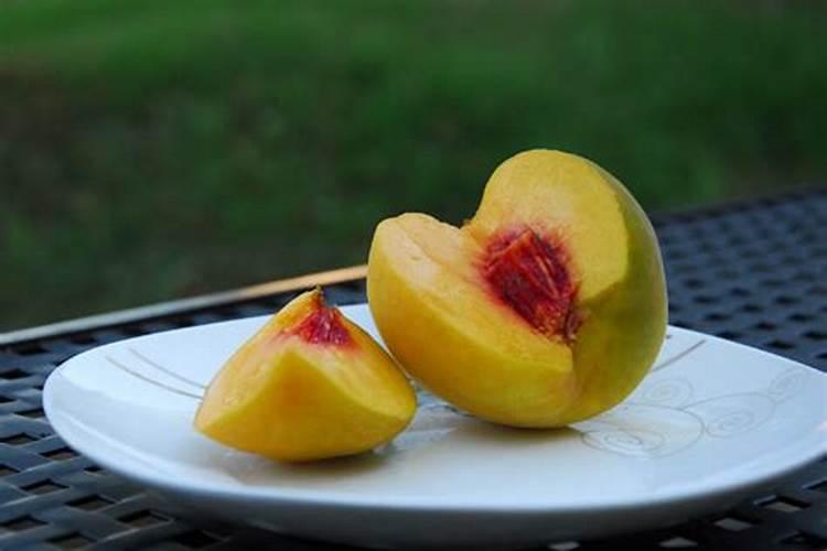 大棚油桃什么时候可以打叶面肥