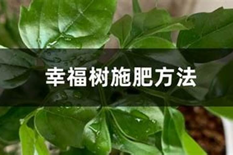 哪些肥料可作钙、镁、硫肥使用？