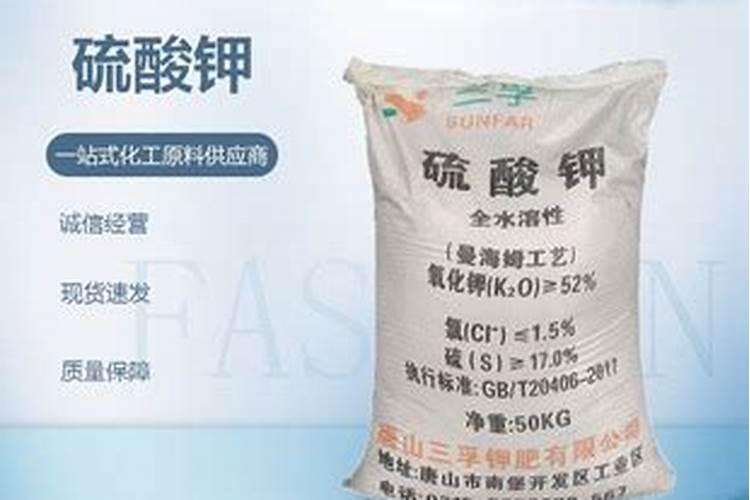 大蒜什么时间用矮壮素