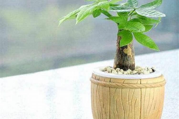 北方果树专用肥配方与施肥目录