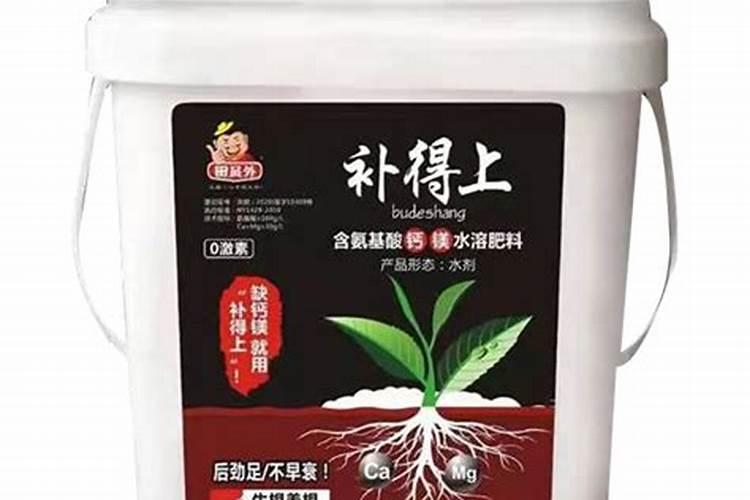 镁离子对植物什么作用