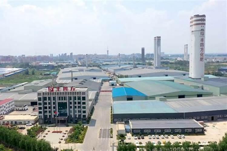 春夏月季施肥以水溶磷钾肥为主效果更好