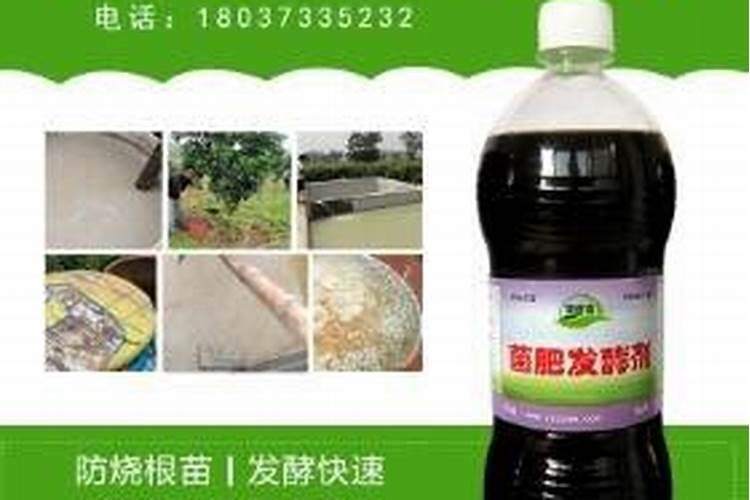 茉莉花施什么肥好,茉莉花施磷钾肥和有机肥最好