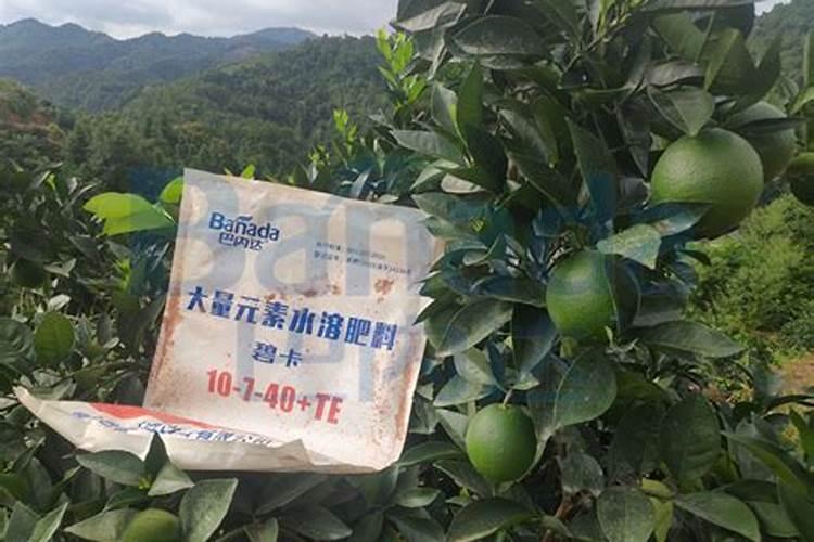 果树用水溶肥好还是复合肥好(复合肥可以兑水浇果树吗)