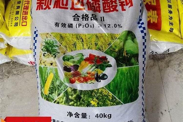 果树用什么复合肥好