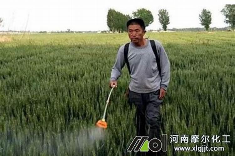 磷酸二氢钾使用方法