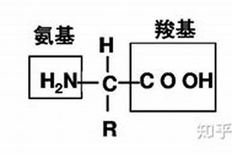 氨基酸对化学肥料有哪些增效作用 ？