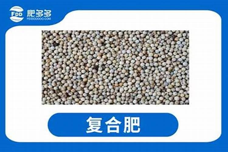 西红柿秧太矮,又粗壮,果实不爱涨怎么办？