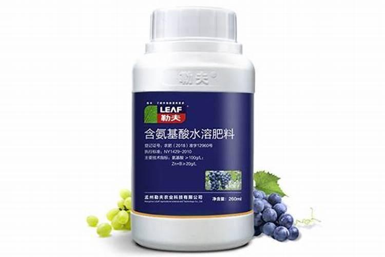 甘肃会宁特产:会宁小米