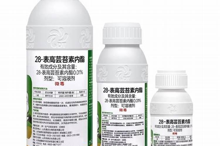 西兰花,两天前打过草药