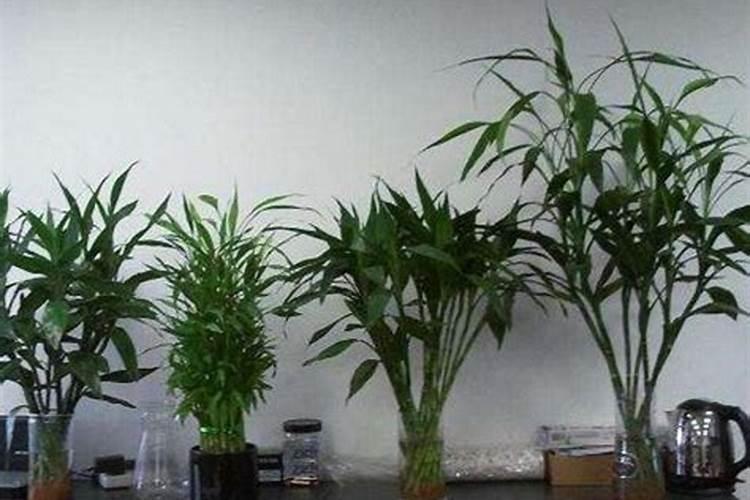 矿源黄腐酸钾的用量与用法