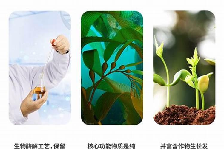 春茶前期管理的九大步骤