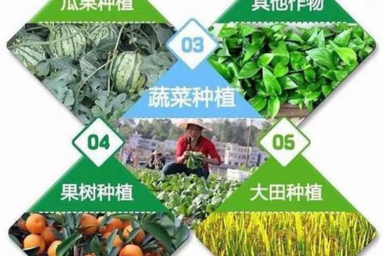 果树专用肥什么肥料最好了