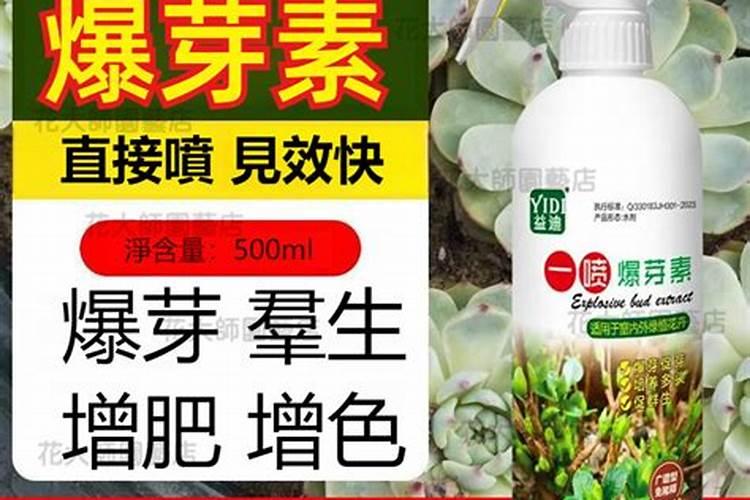 叶面肥哪个好