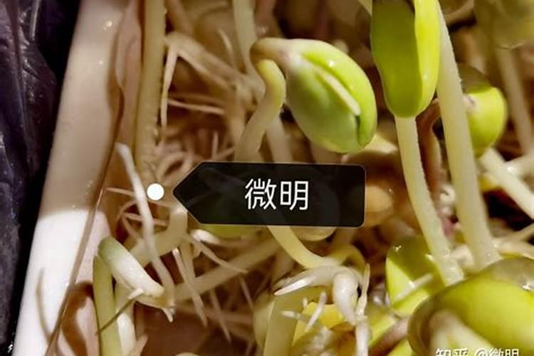 谁用过特百惠的洗洁精,用后感觉怎样？和别的洗洁精有什么区别？好用...
