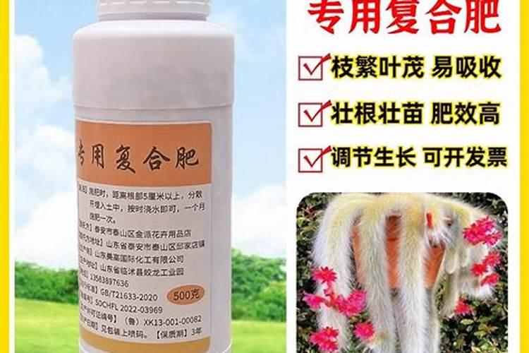菜地什么时候施肥最好？