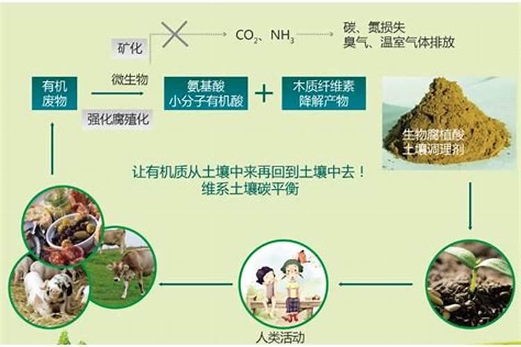 腐殖酸与腐植酸是同一类东西吗？