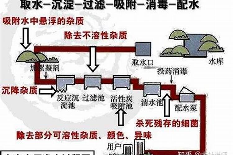 烂苹果怎么做花的肥料