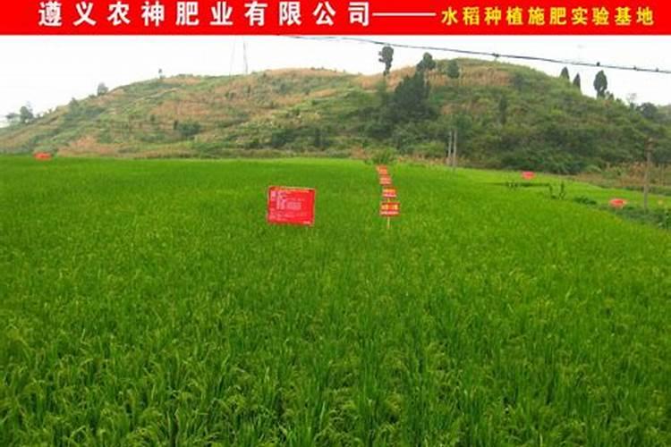 云南十大蔬菜批发市场 云南批发蔬菜市场在哪 云南蔬菜批发市场地址...