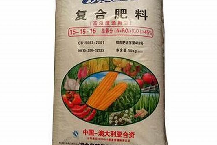 甘肃种植玉米的优势 有哪些